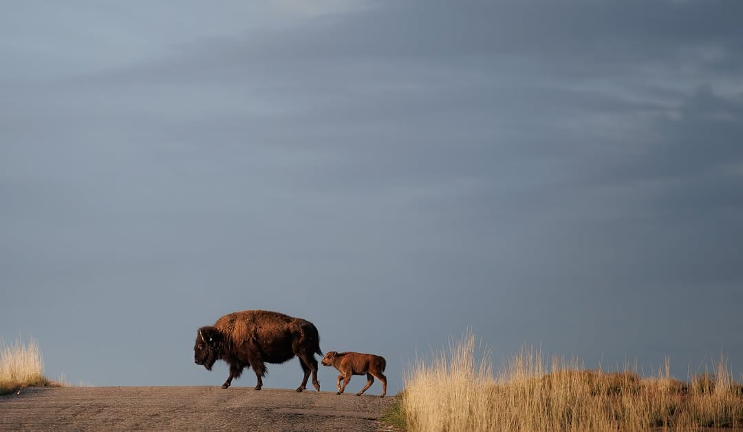 Post 1 by Maureen E Matsen on Instagram (image)