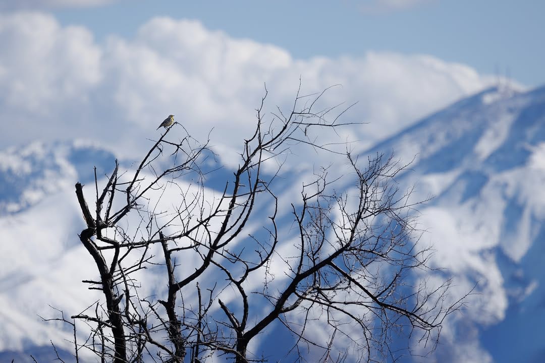 Post 5 by Maureen E Matsen on Instagram (image)