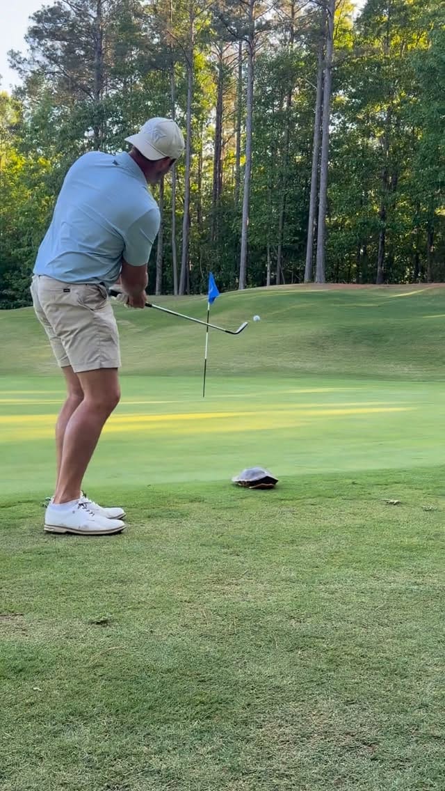 Post 5 by Chandler Gantt on Instagram (video)