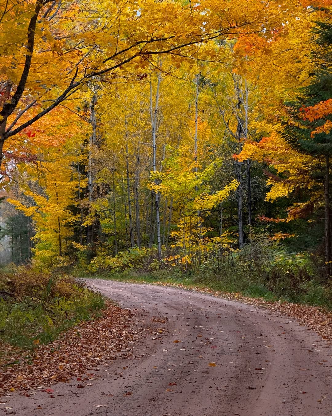 Post 9 by Joel Marotti | Michigan Outdoor Adventure Photographer on Instagram (carousel)