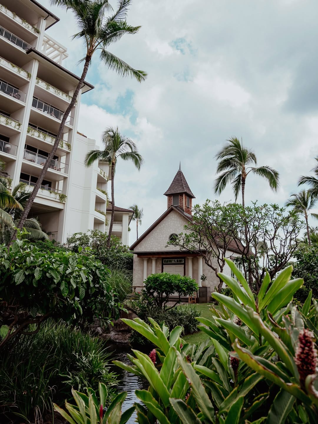 Post 6 by BIANCA PHOTOGRAPHY | Hawaii 📸 on Instagram (carousel)