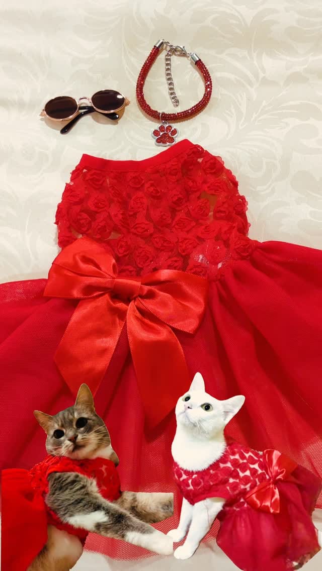 Post 2 by FABanimalerie on Instagram (video)