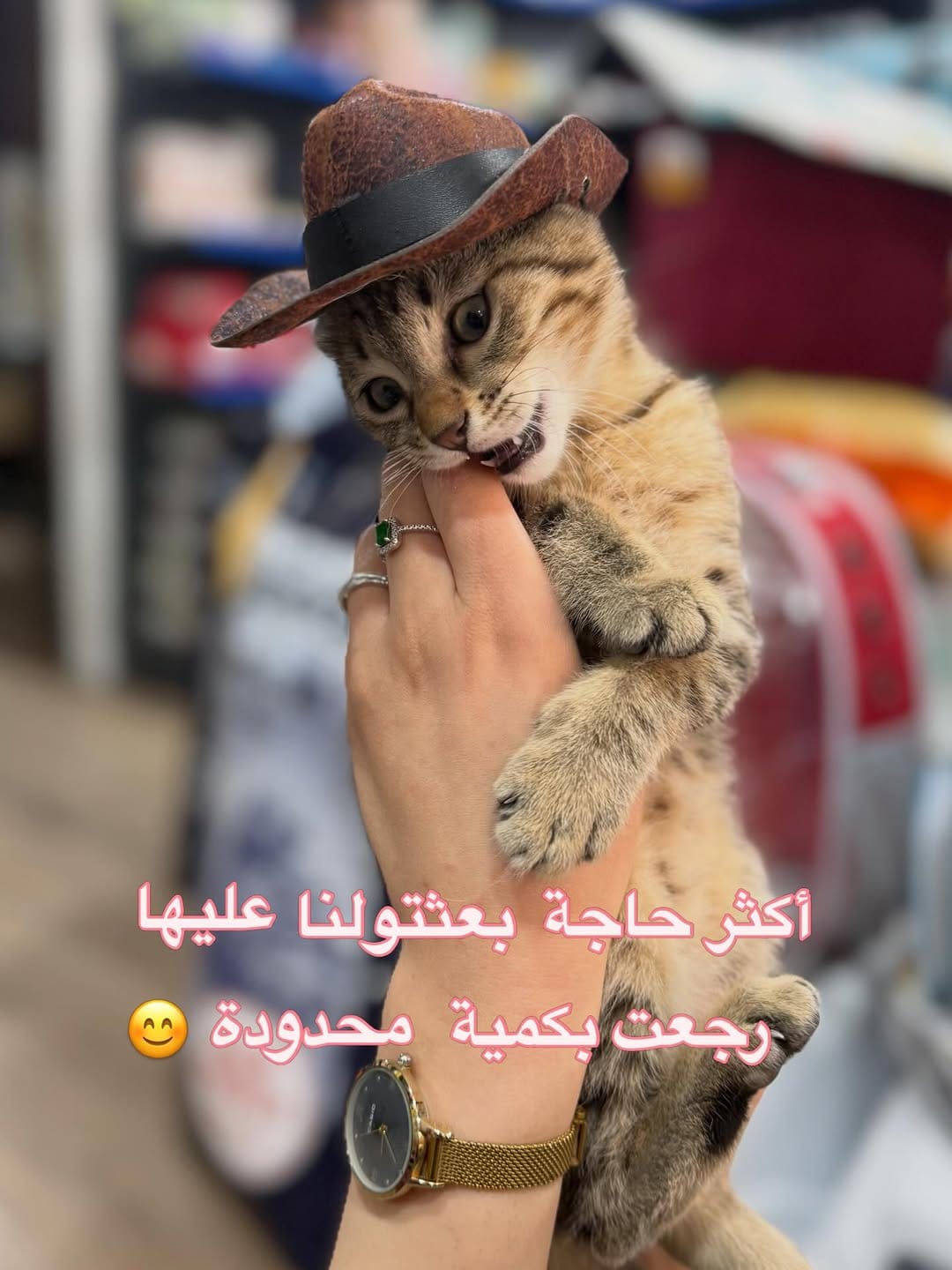 Post 8 by FABanimalerie on Instagram (carousel)