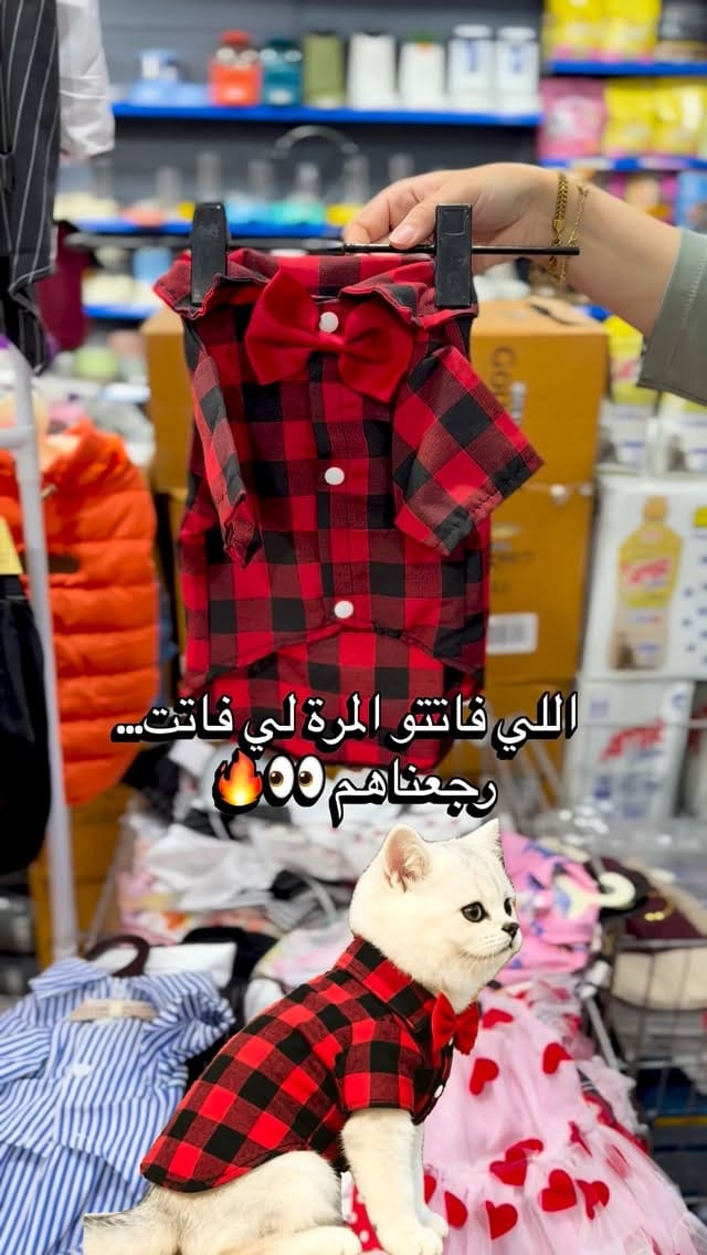 Post 4 by FABanimalerie on Instagram (video)