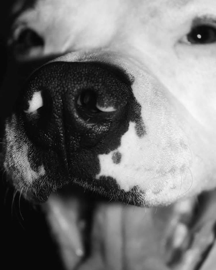 Post 6 by M E M P H I S on Instagram (image)