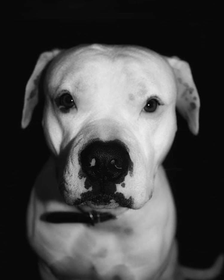 Post 7 by M E M P H I S on Instagram (image)