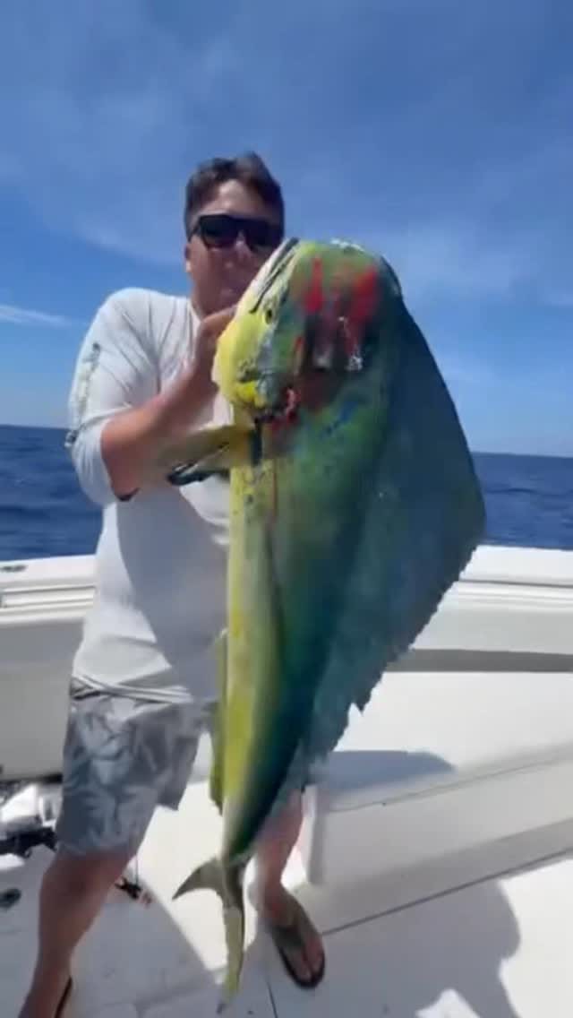 Post 6 by Custom Rod & Reel on Instagram (video)