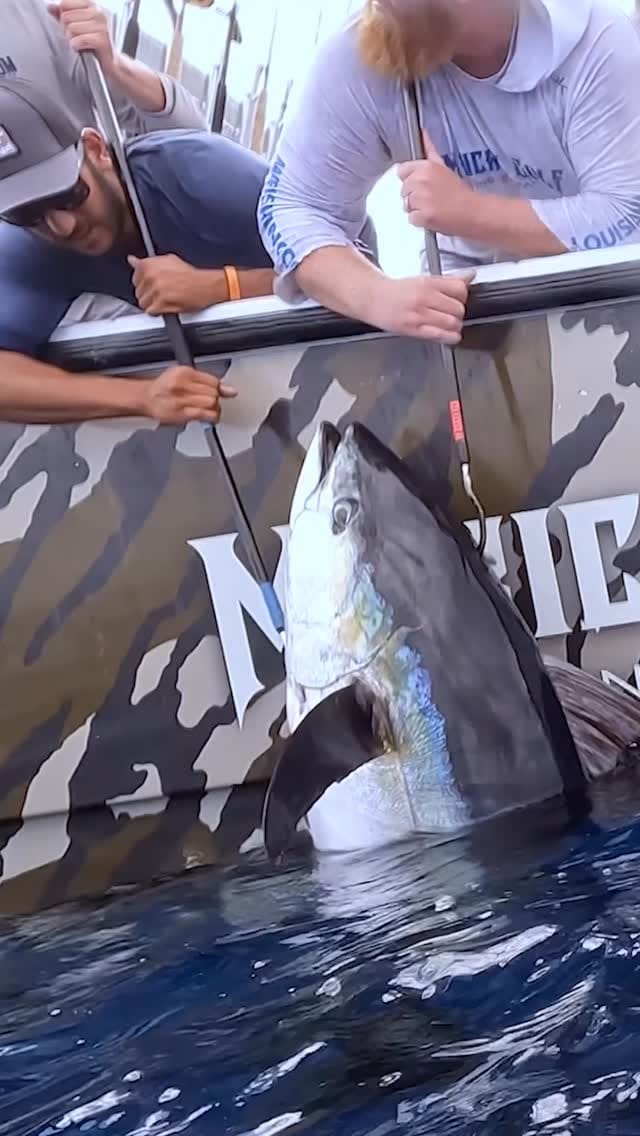 Post 8 by Custom Rod & Reel on Instagram (video)