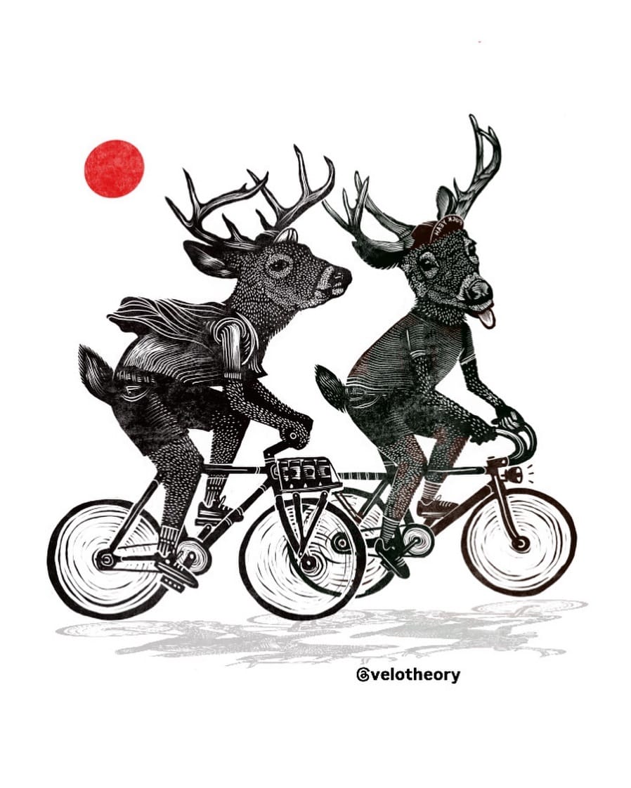 Post 6 by Velo Theory on Instagram (image)
