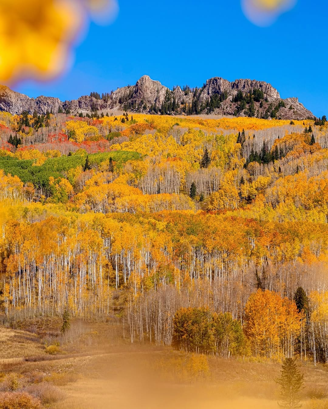 Post 1 by alyssa📍colorado on Instagram (carousel)