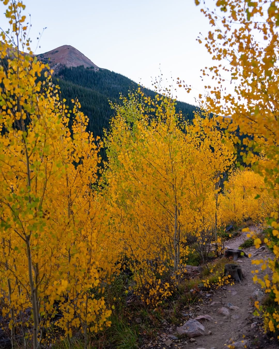 Post 7 by alyssa📍colorado on Instagram (carousel)