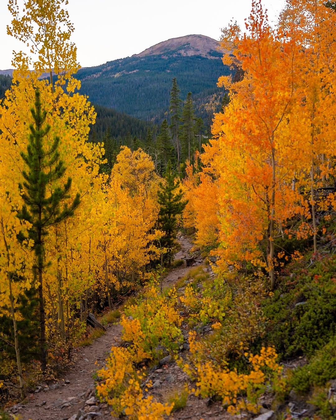 Post 6 by alyssa📍colorado on Instagram (carousel)