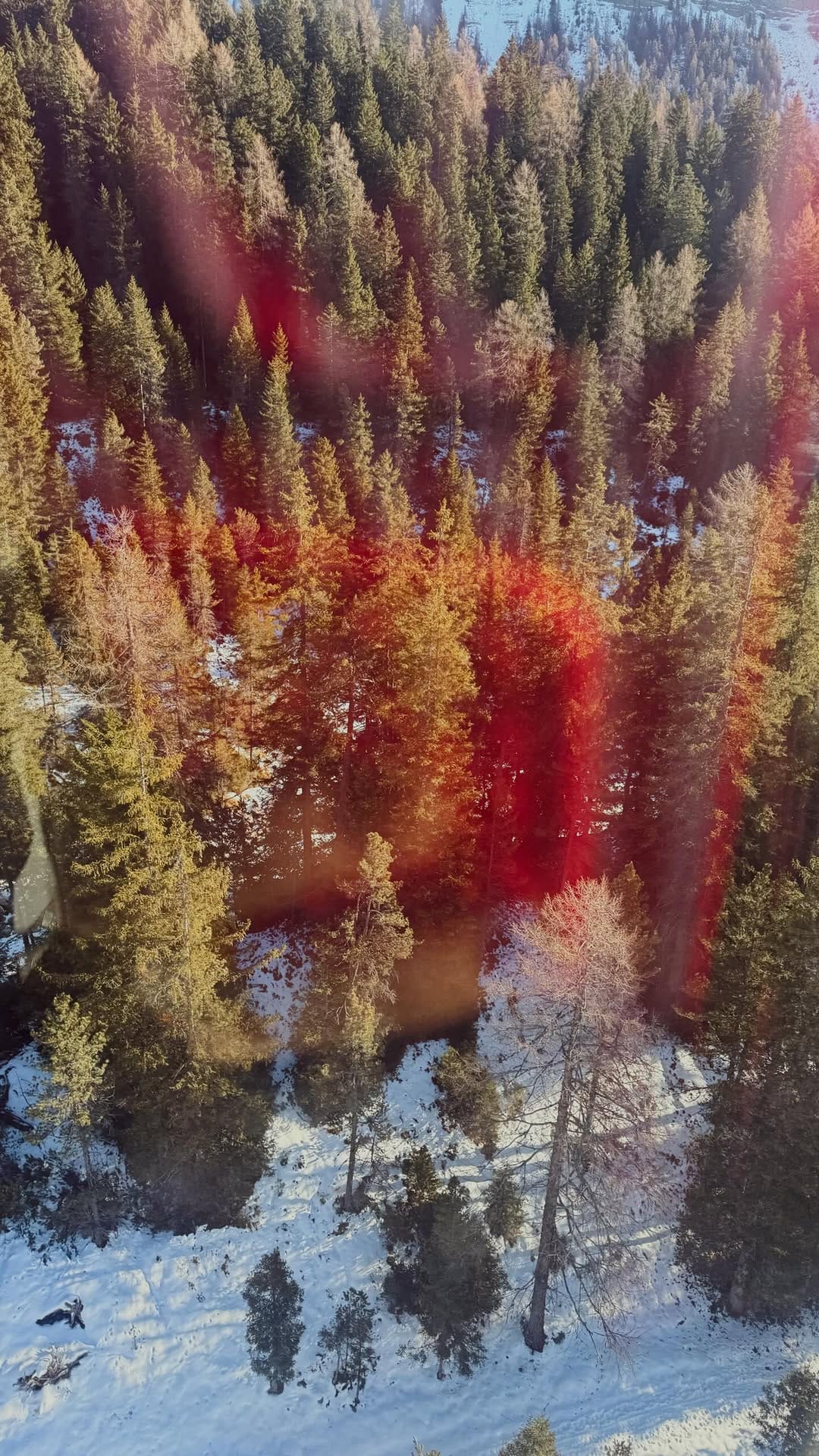 Post 4 by Maria Stannard on Instagram (video)