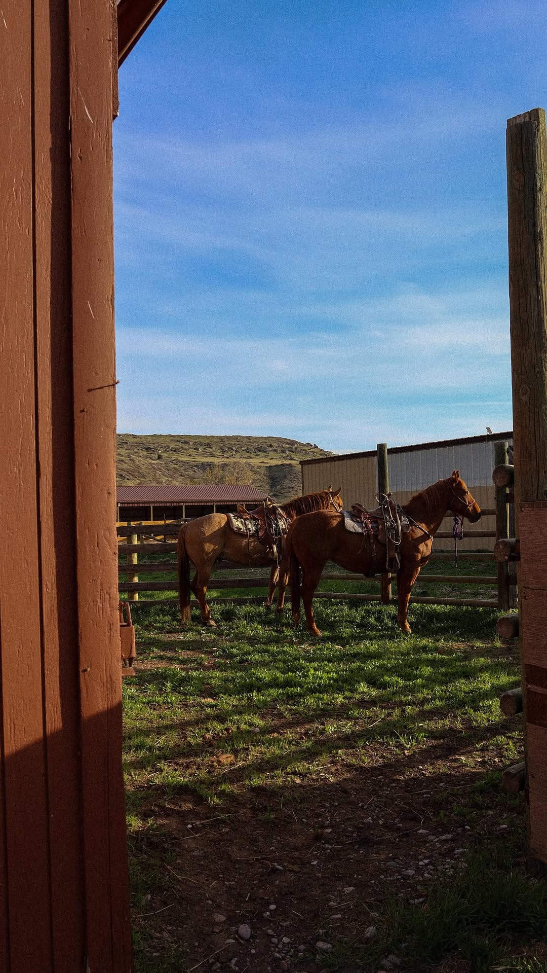 Post 9 by Rachel Liz - Western Photographer on Instagram (video)
