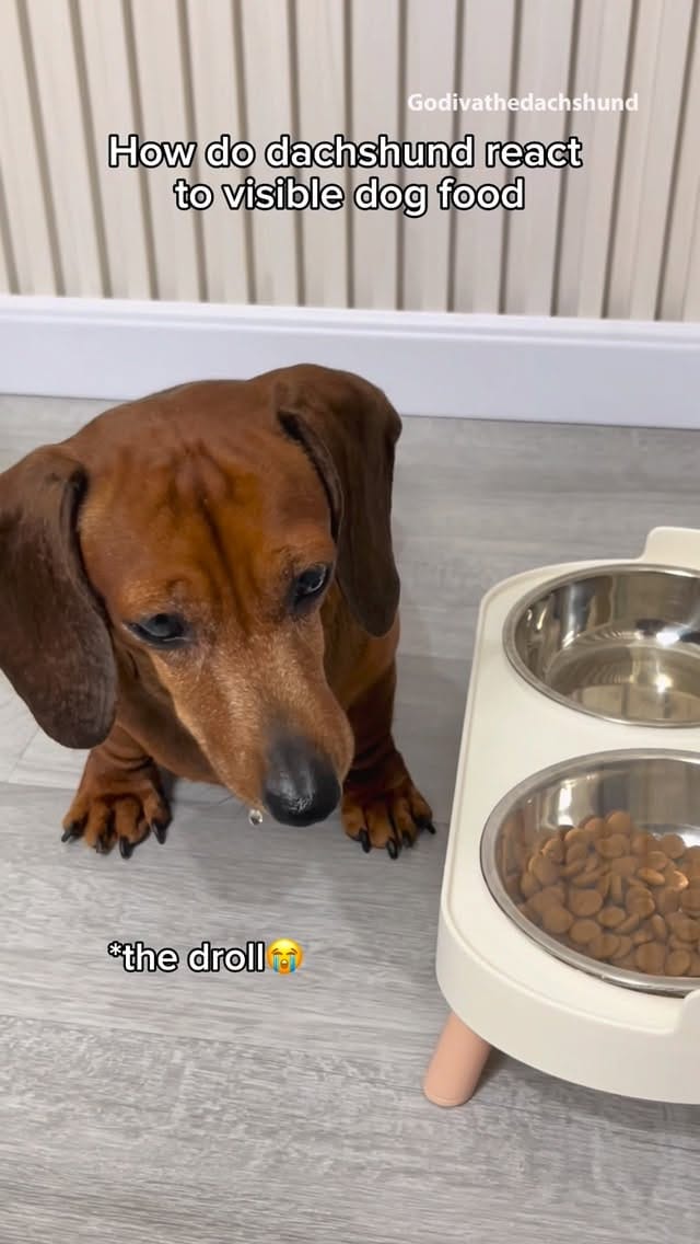 Post 5 by Godiva on Instagram (video)