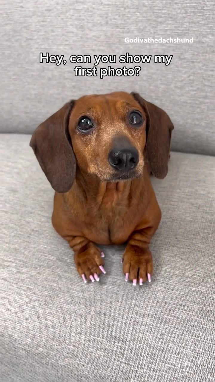 Post 4 by Godiva on Instagram (video)