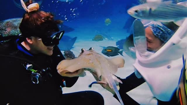 Post 5 by OdySea Aquarium on Instagram (video)