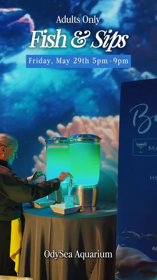 Post 1 by OdySea Aquarium on Instagram (video)