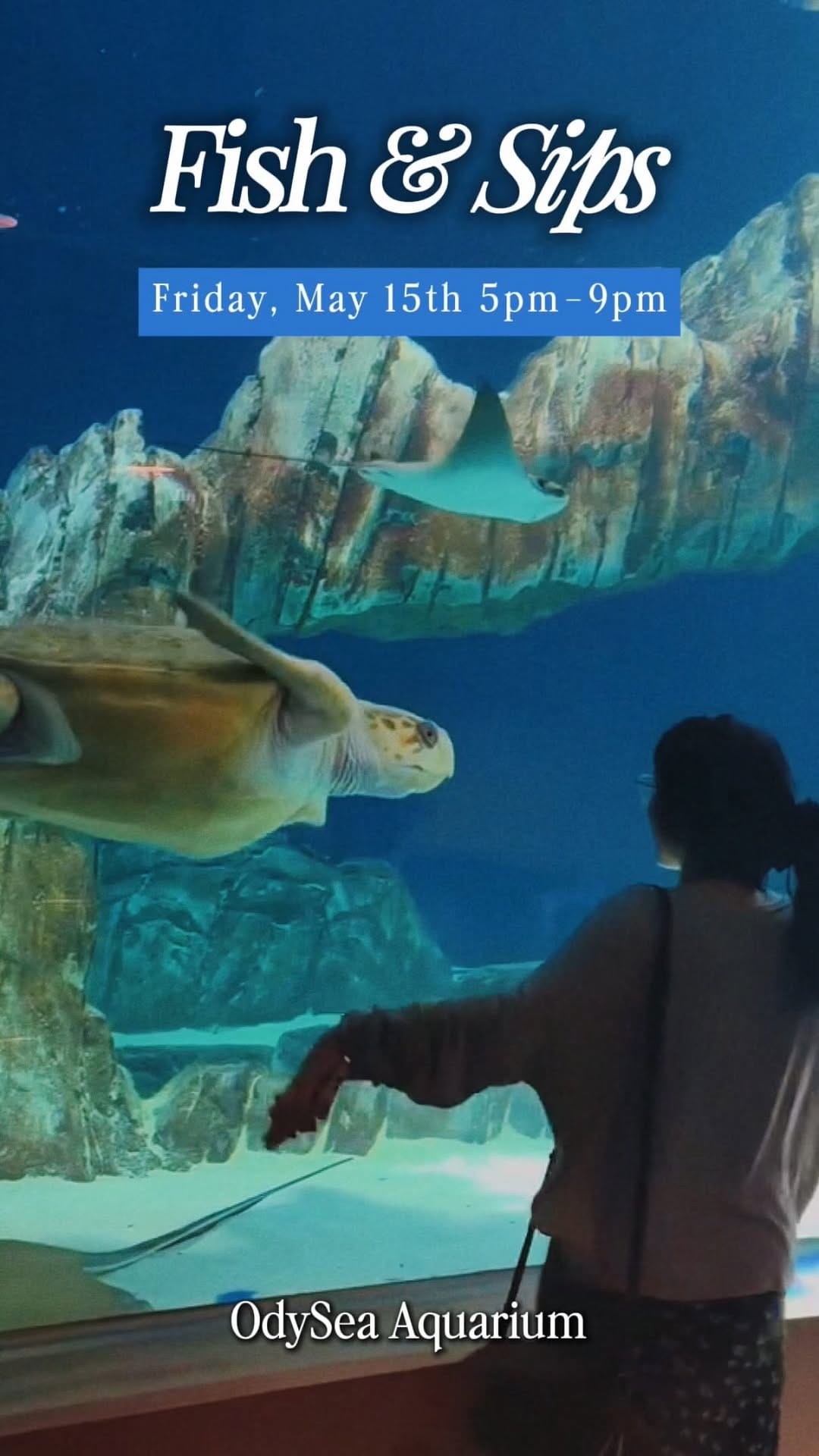 Post 8 by OdySea Aquarium on Instagram (video)