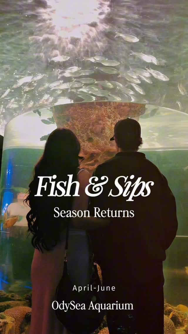 Post 9 by OdySea Aquarium on Instagram (video)