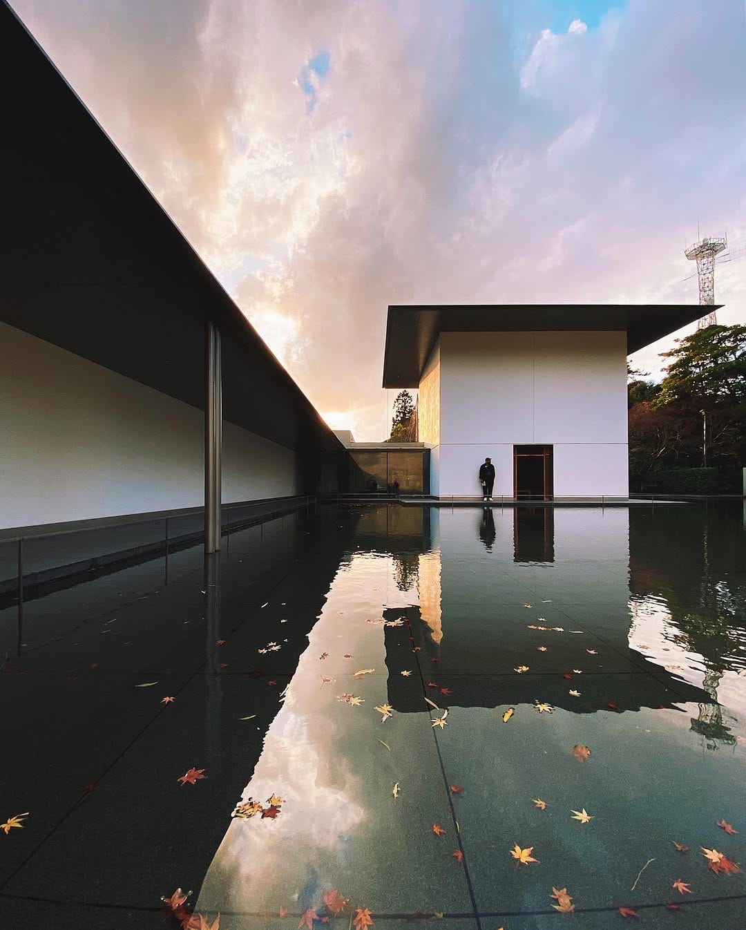 Post 10 by Brian Lopiccolo on Instagram (image)