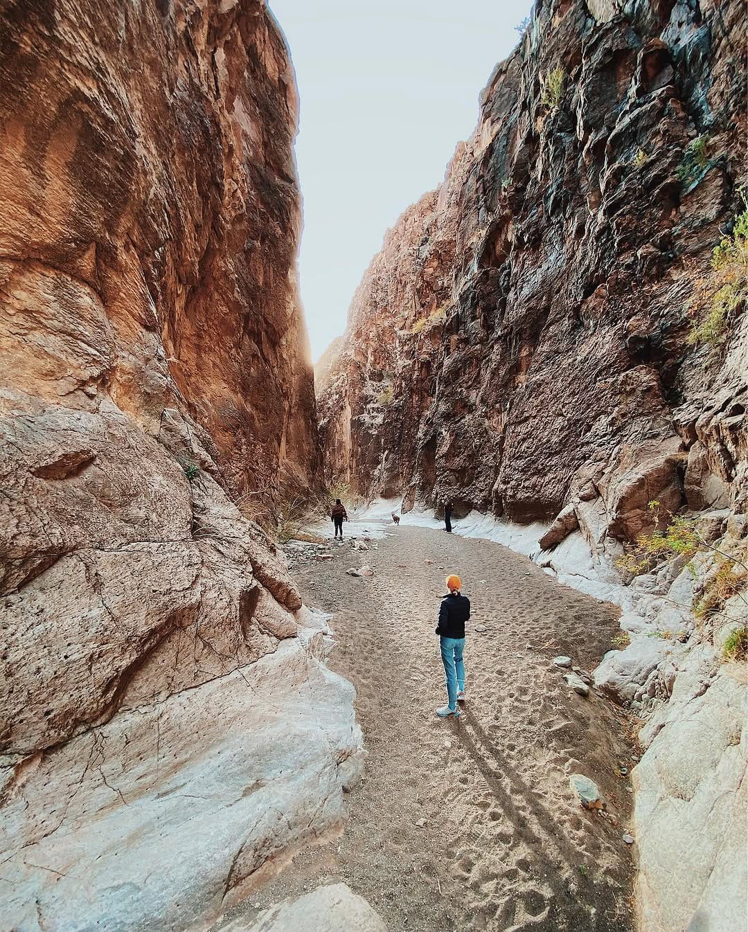 Post 2 by Brian Lopiccolo on Instagram (image)
