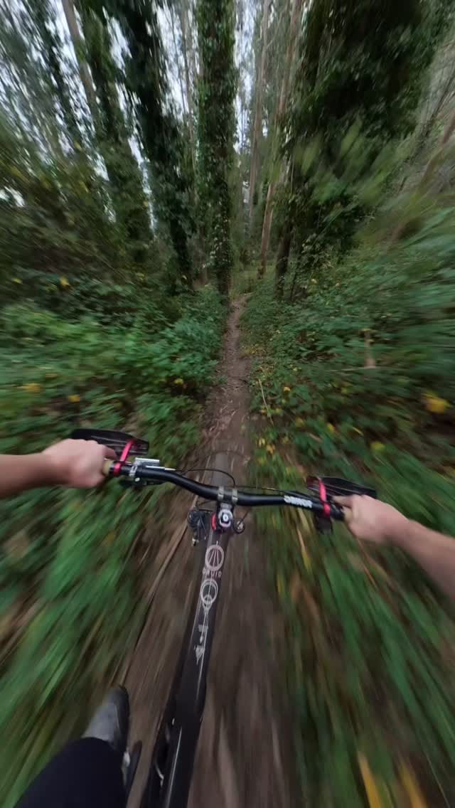 Post 8 by Teddy Hayden on Instagram (video)