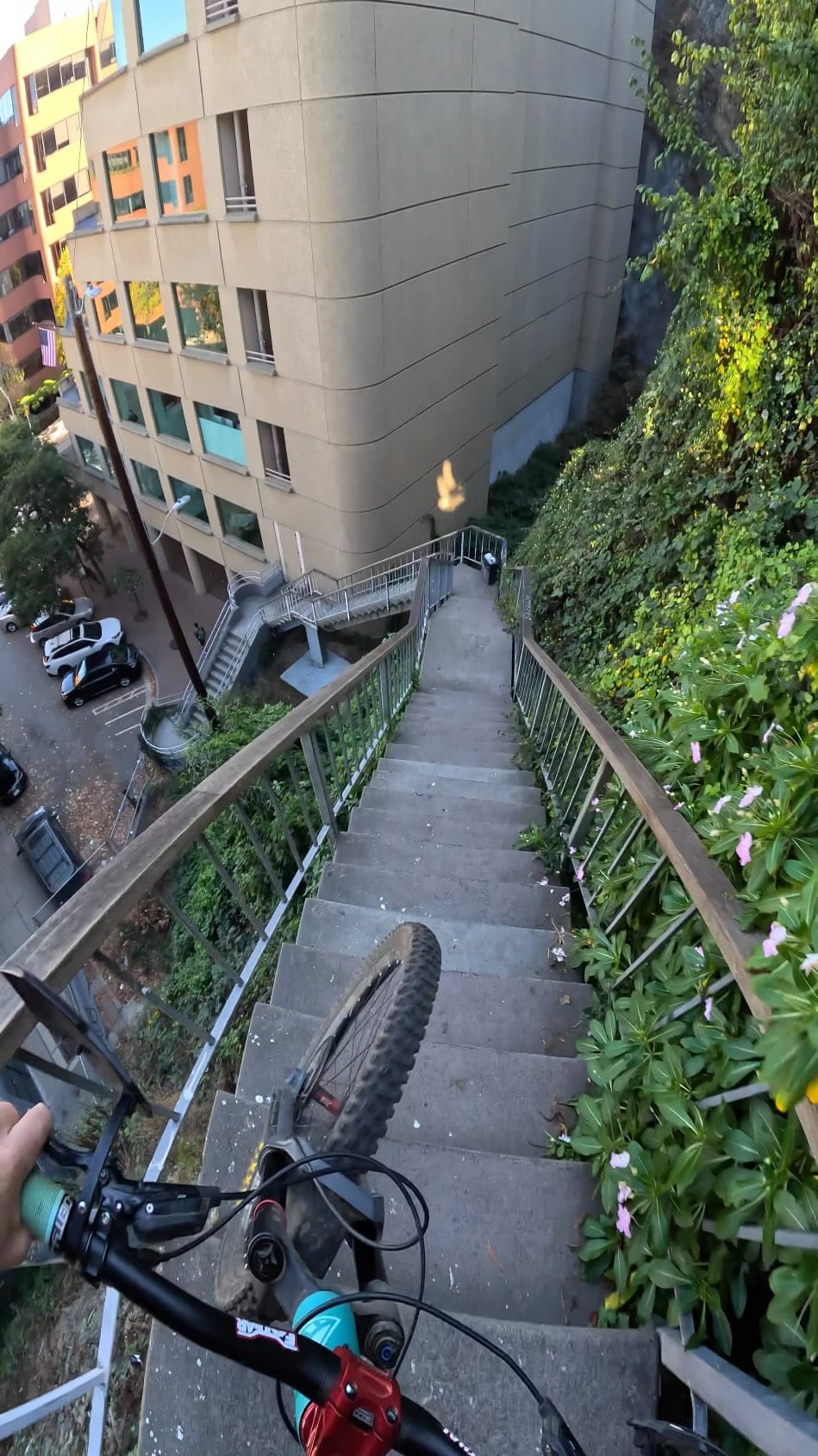 Post 10 by Teddy Hayden on Instagram (video)