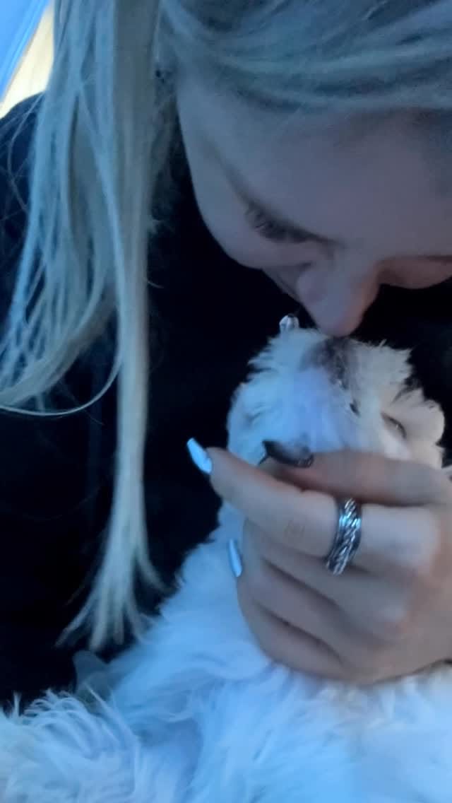 Post 4 by SENGA on Instagram (video)