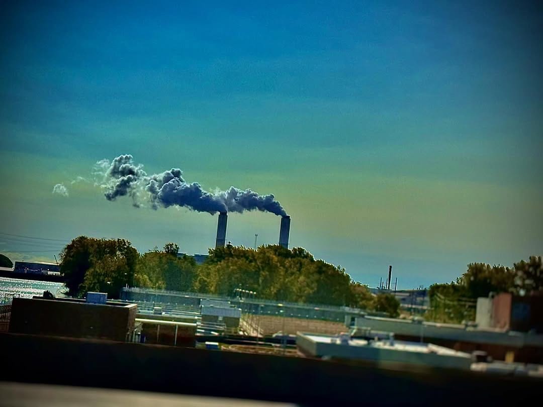 Post 10 by Emad Saleem on Instagram (image)