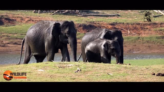 Post 2 by Zankhana Mehta on Instagram (video)
