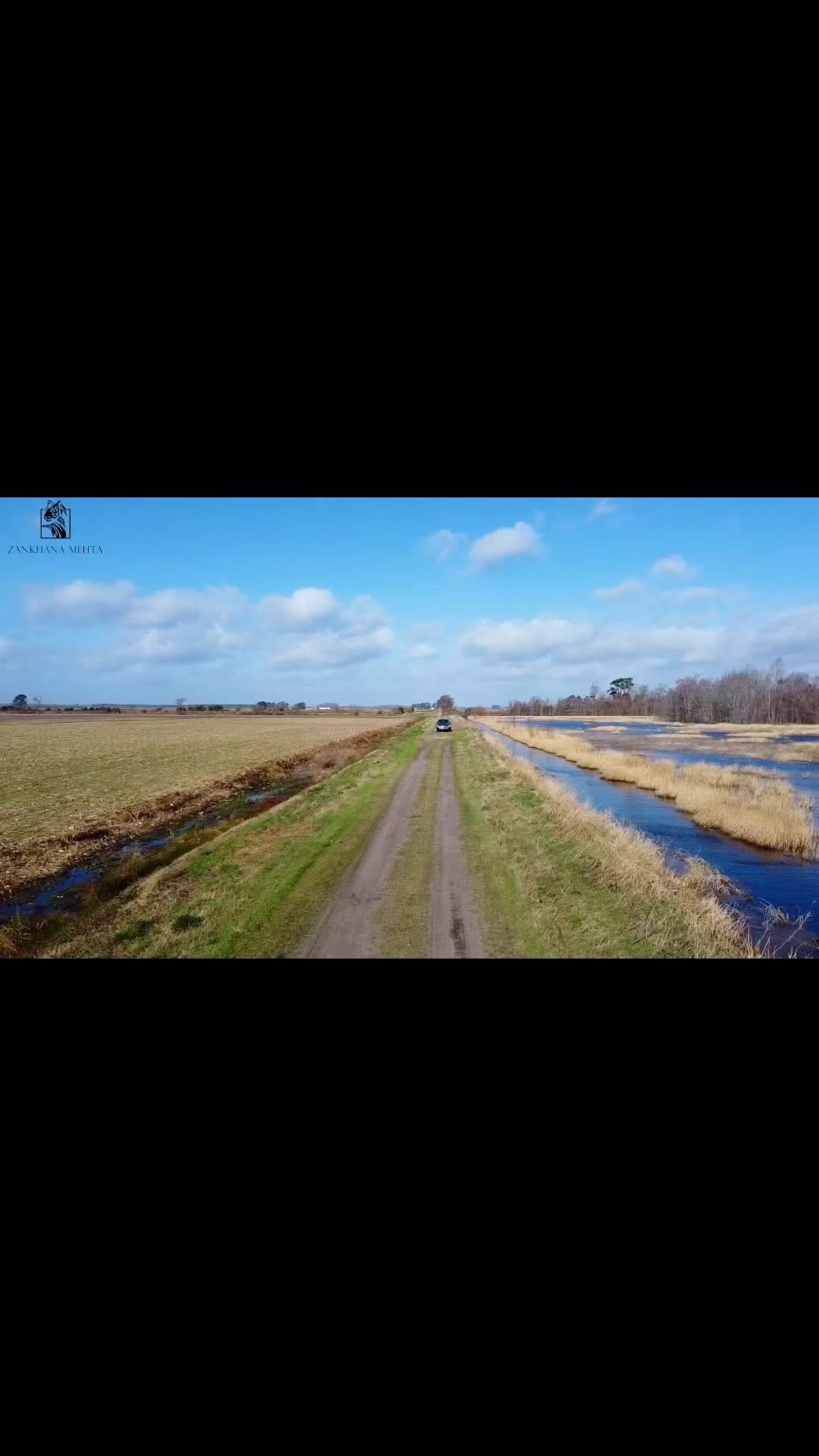 Post 10 by Zankhana Mehta on Instagram (video)