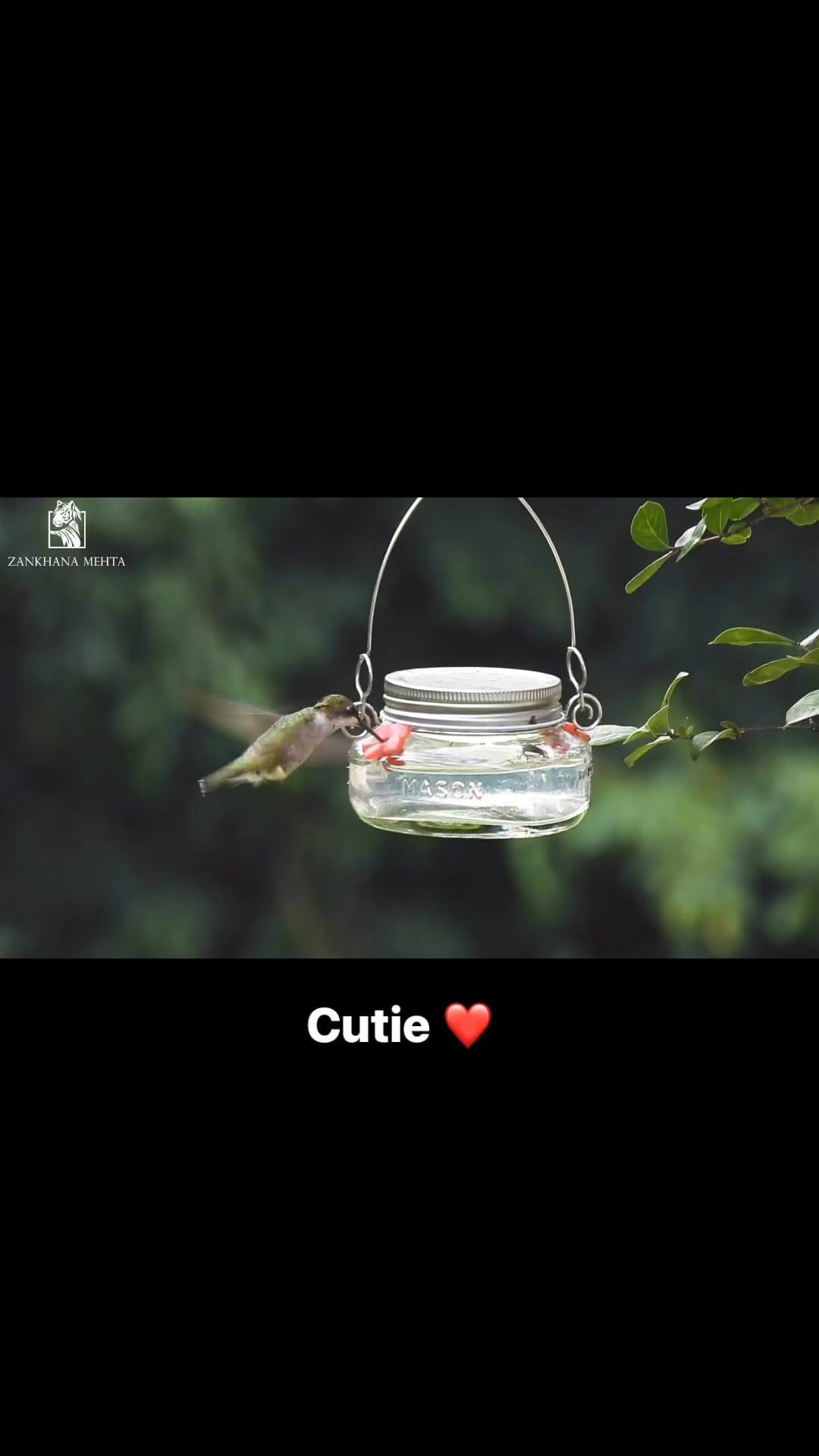 Post 7 by Zankhana Mehta on Instagram (video)