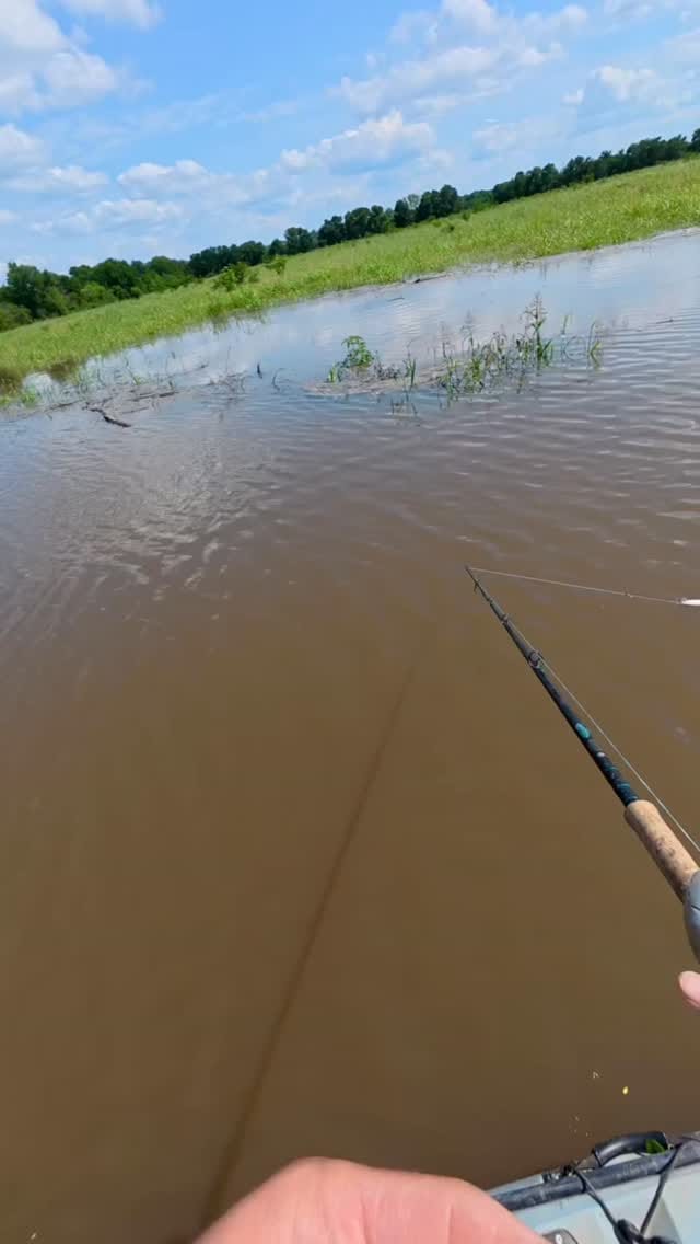Post 6 by Fishing Around on Instagram (video)