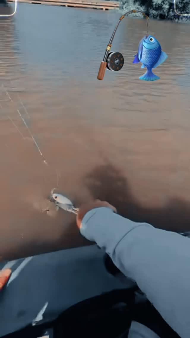 Post 1 by Fishing Around on Instagram (video)