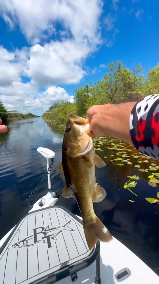 Post 7 by Fishing Around on Instagram (video)