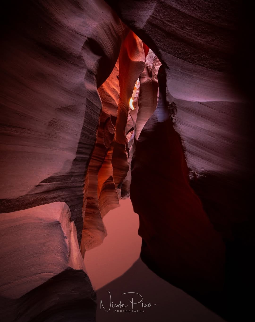 Post 10 by Nicole Pino on Instagram (image)