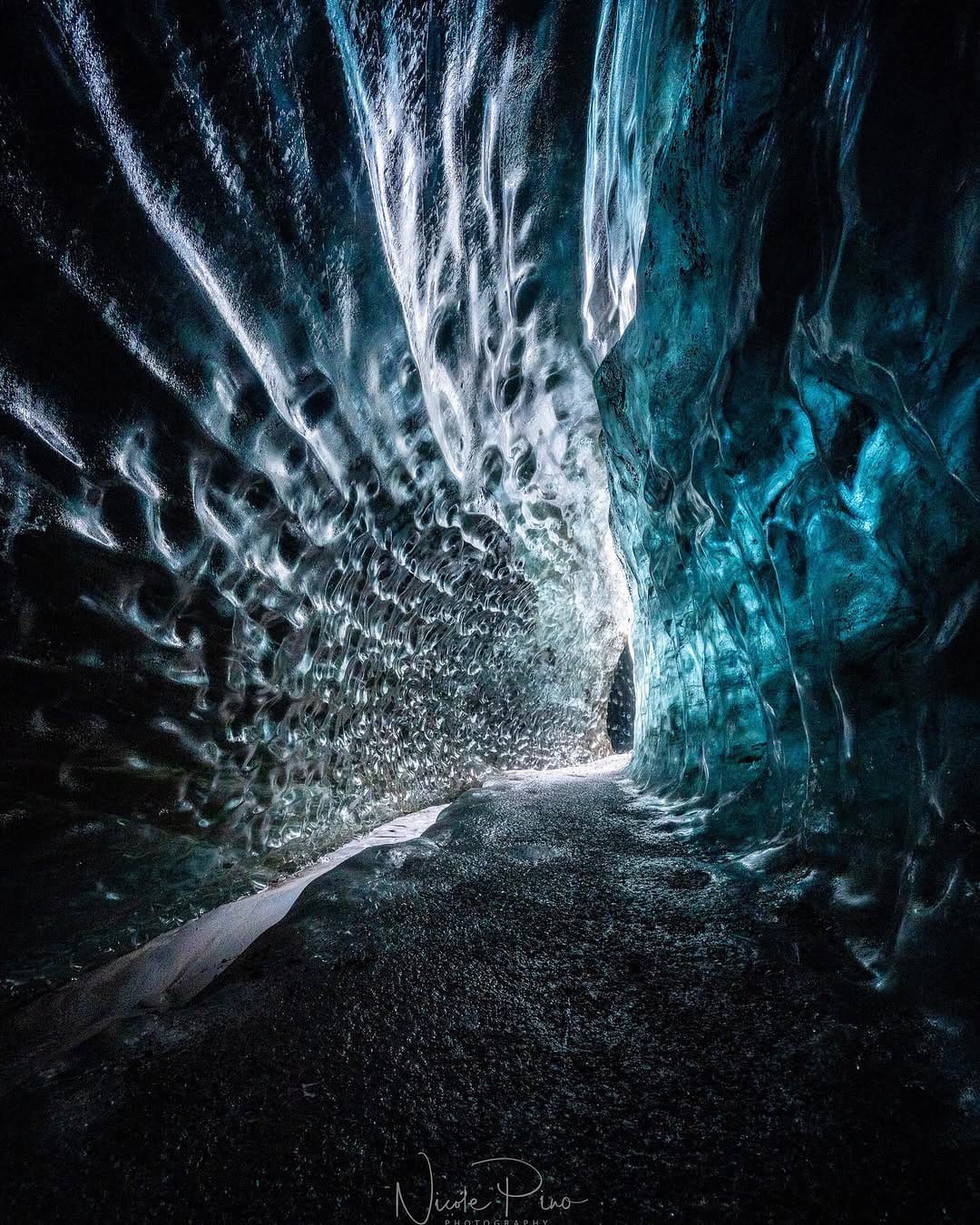 Post 5 by Nicole Pino on Instagram (image)