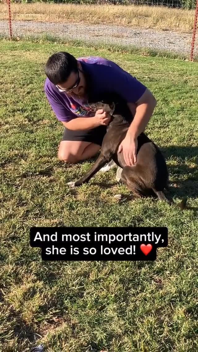 Post 8 by @12dogsandcounting on Instagram (video)