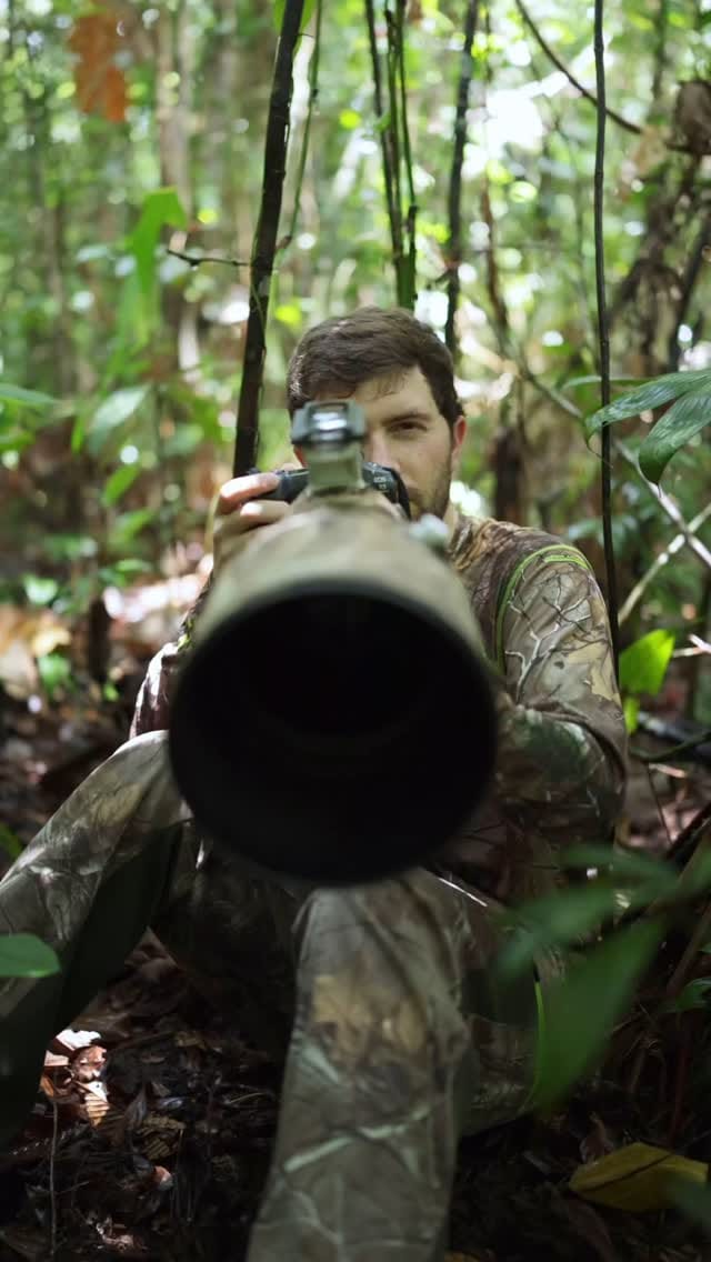 Post 3 by Lewis Frazier on Instagram (video)