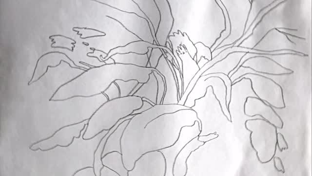 Post 3 by Amanda Bonaiuto on Instagram (video)
