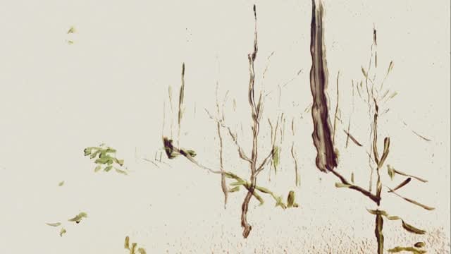 Post 2 by Amanda Bonaiuto on Instagram (video)