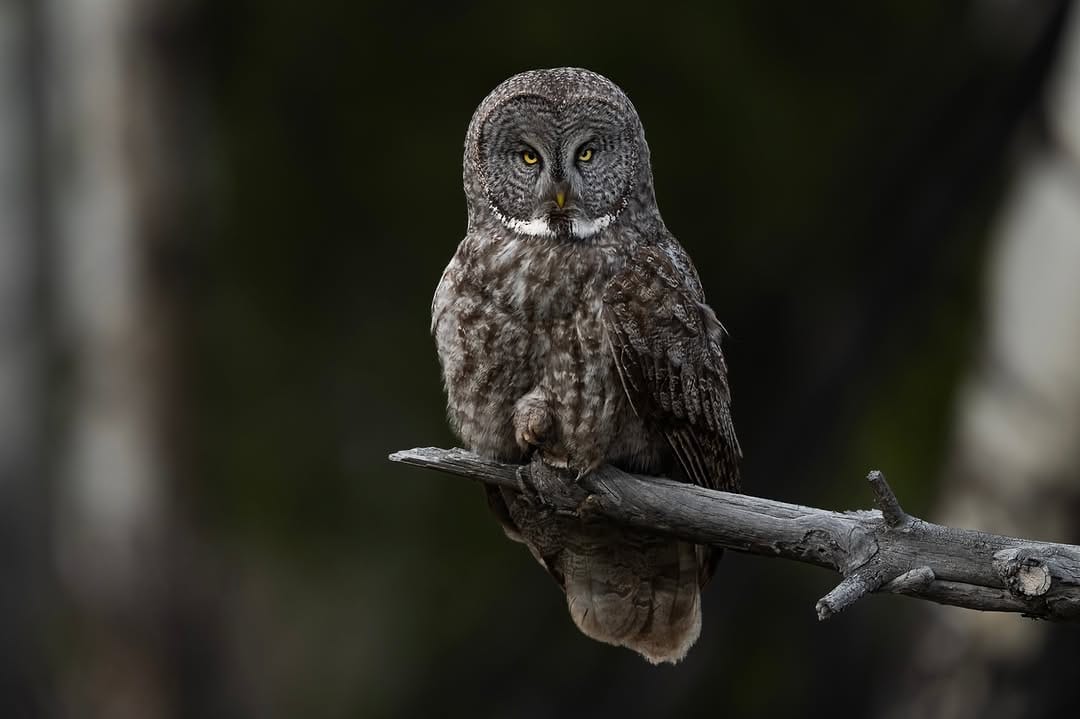 Post 1 by Steve Mattheis on Instagram (image)