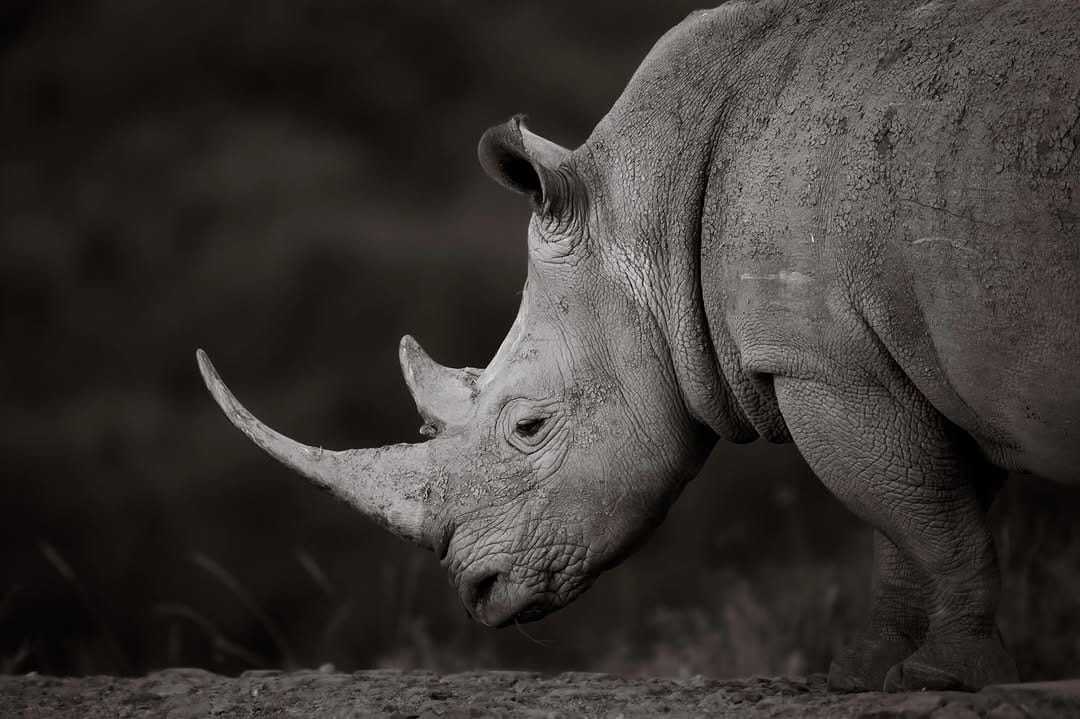 Post 4 by Steve Mattheis on Instagram (image)