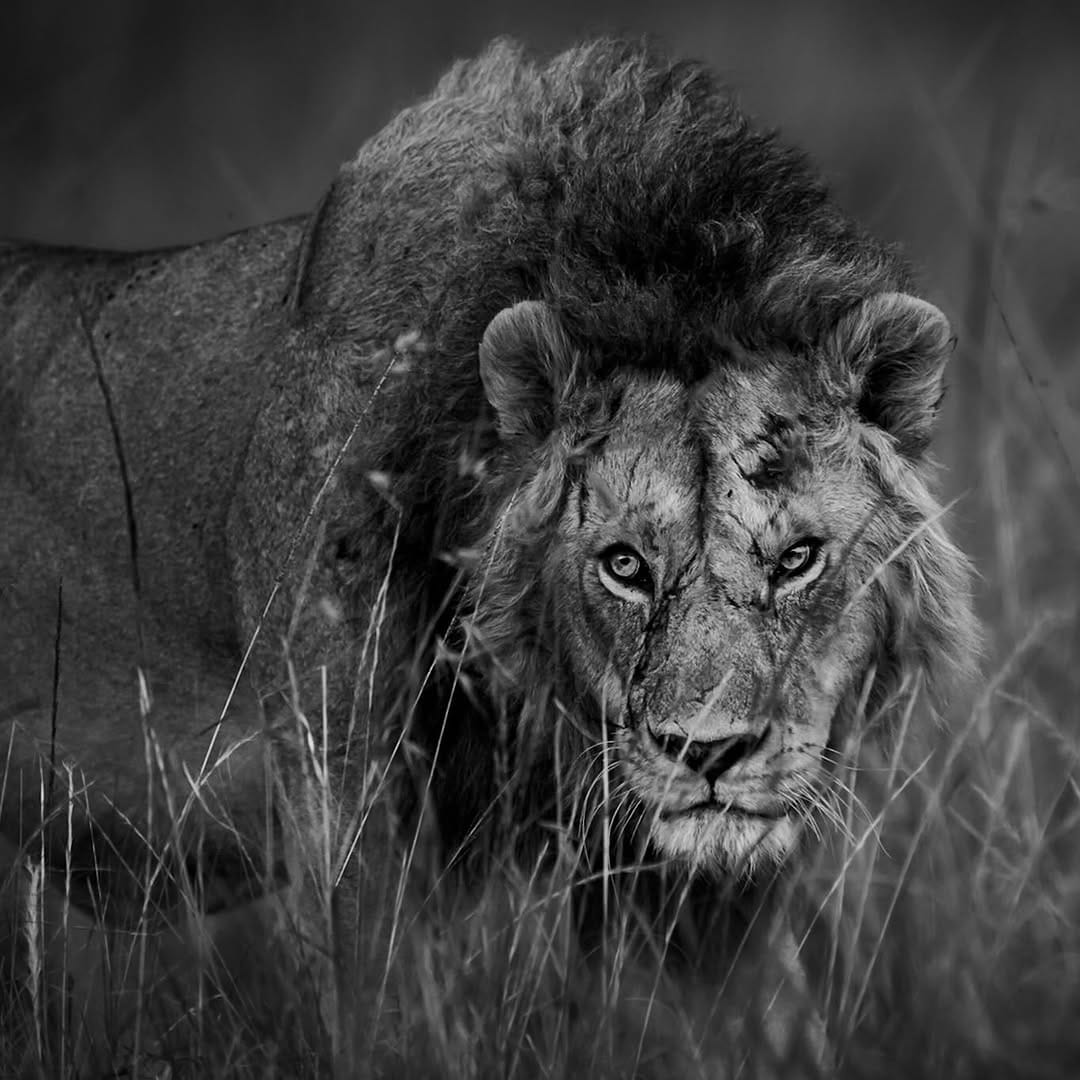 Post 3 by Steve Mattheis on Instagram (image)