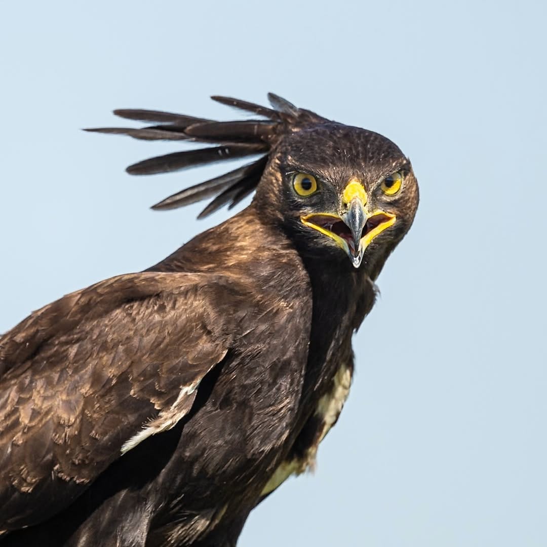 Post 10 by Steve Mattheis on Instagram (carousel)