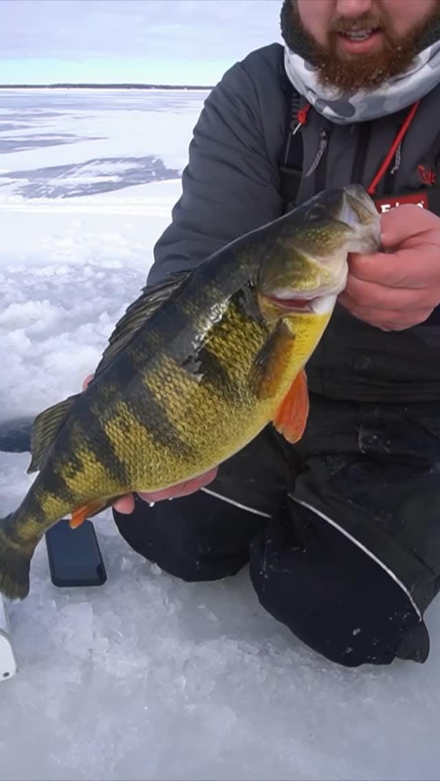 Post 8 by NB EDITS🎣 on Instagram (video)