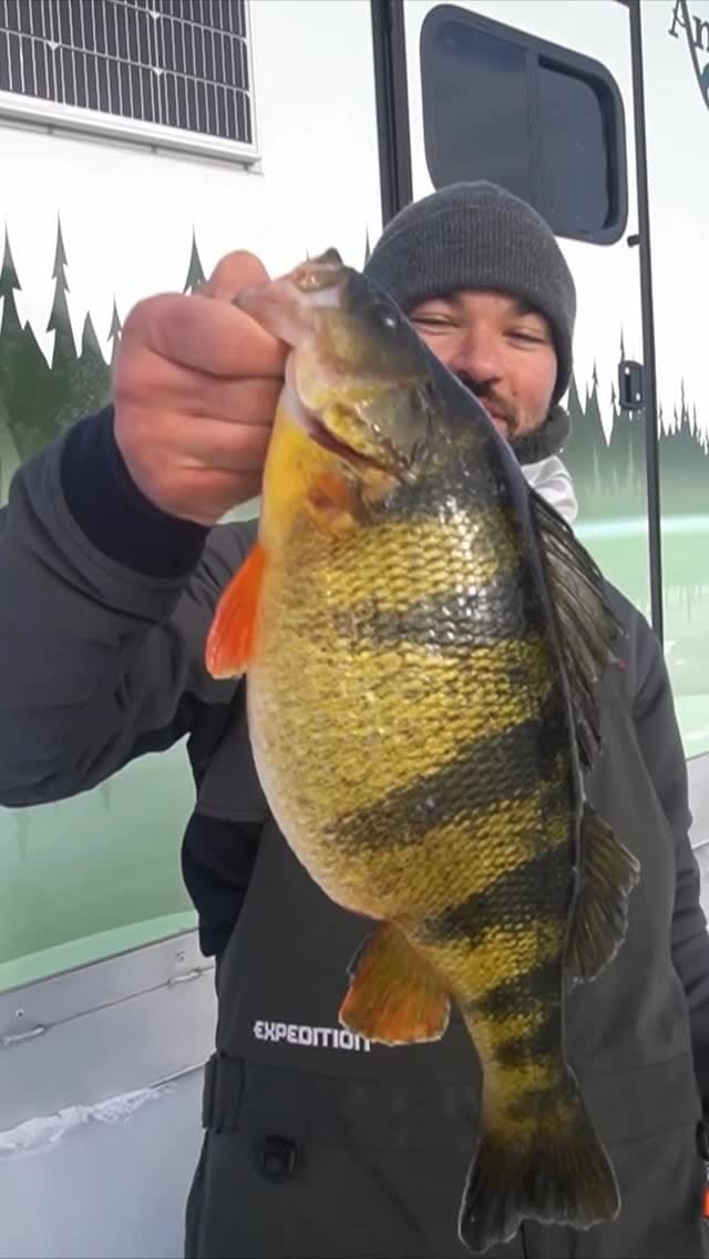 Post 7 by NB EDITS🎣 on Instagram (video)