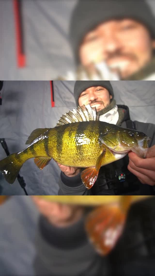 Post 9 by NB EDITS🎣 on Instagram (video)