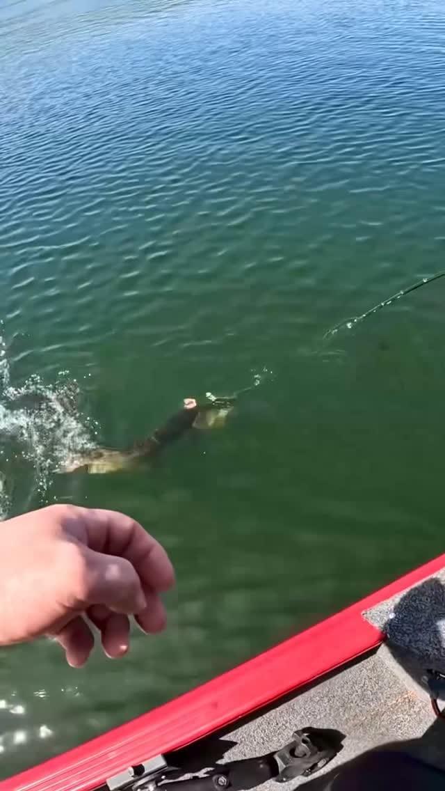 Post 2 by NB EDITS🎣 on Instagram (video)